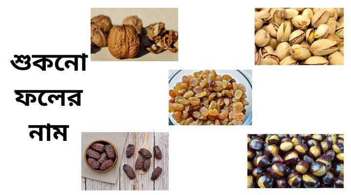 Dry fruits name in Bengali and English with Images