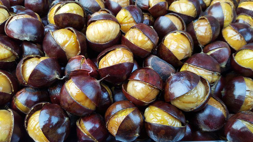 Fruits name - Chestnuts