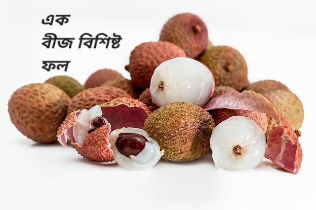 One seed fruits in Bengali