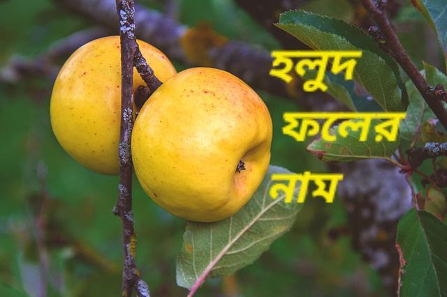 Yellow fruits in Bengali