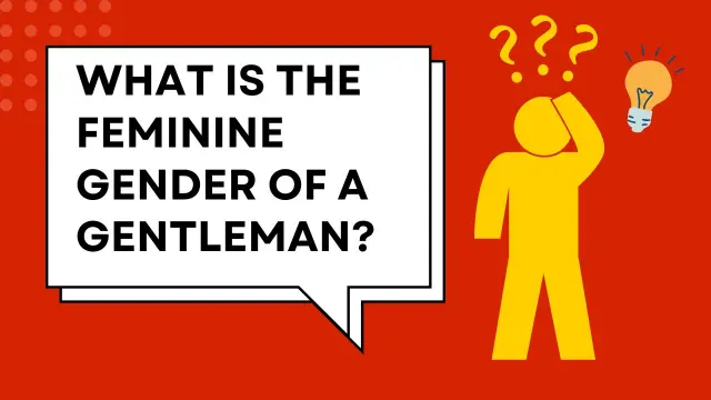 What is the Feminine Gender of a Gentleman