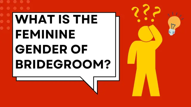 What is the feminine gender of a bridegroom