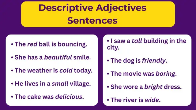 Descriptive Adjective Example Sentences
