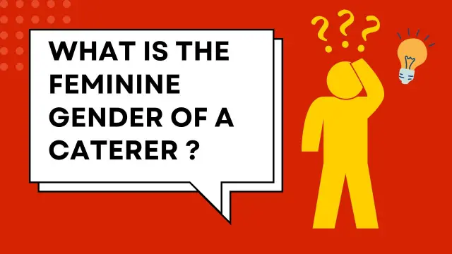 What is the Feminine Gender of a caterer